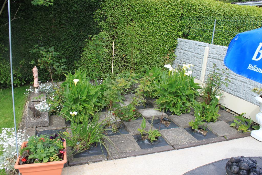 Flushing Meadow Bed And Breakfast Ballinhassig Exterior foto