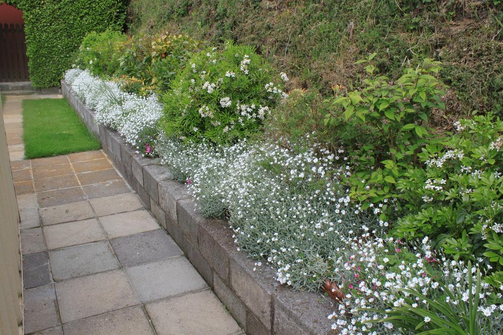Flushing Meadow Bed And Breakfast Ballinhassig Exterior foto